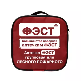 Аптечка «ФЭСТ» групповая для лесного пожарного фото 1